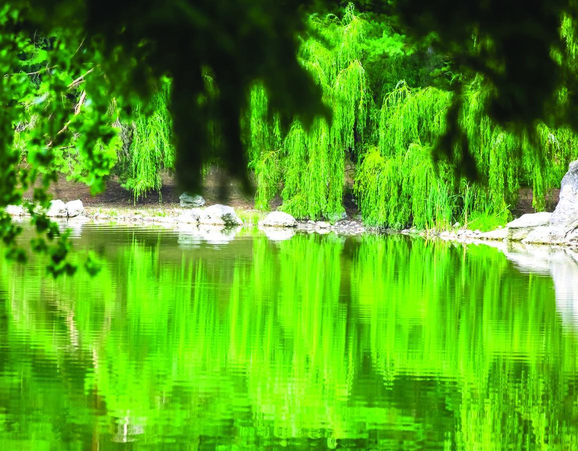 Vila Bomond Otel Edinet Dış mekan fotoğraf